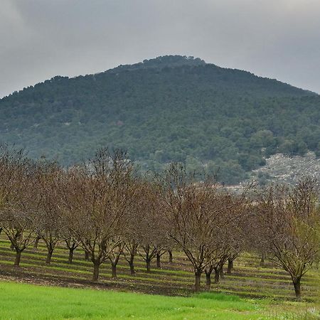 Pearl Of The Valley Hotel Kfar Tavor Екстериор снимка