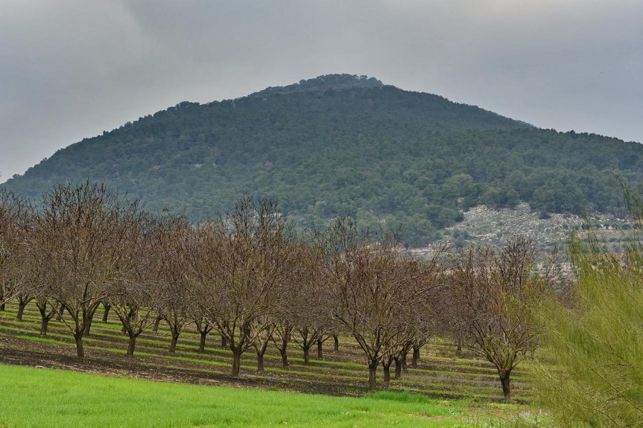 Pearl Of The Valley Hotel Kfar Tavor Екстериор снимка
