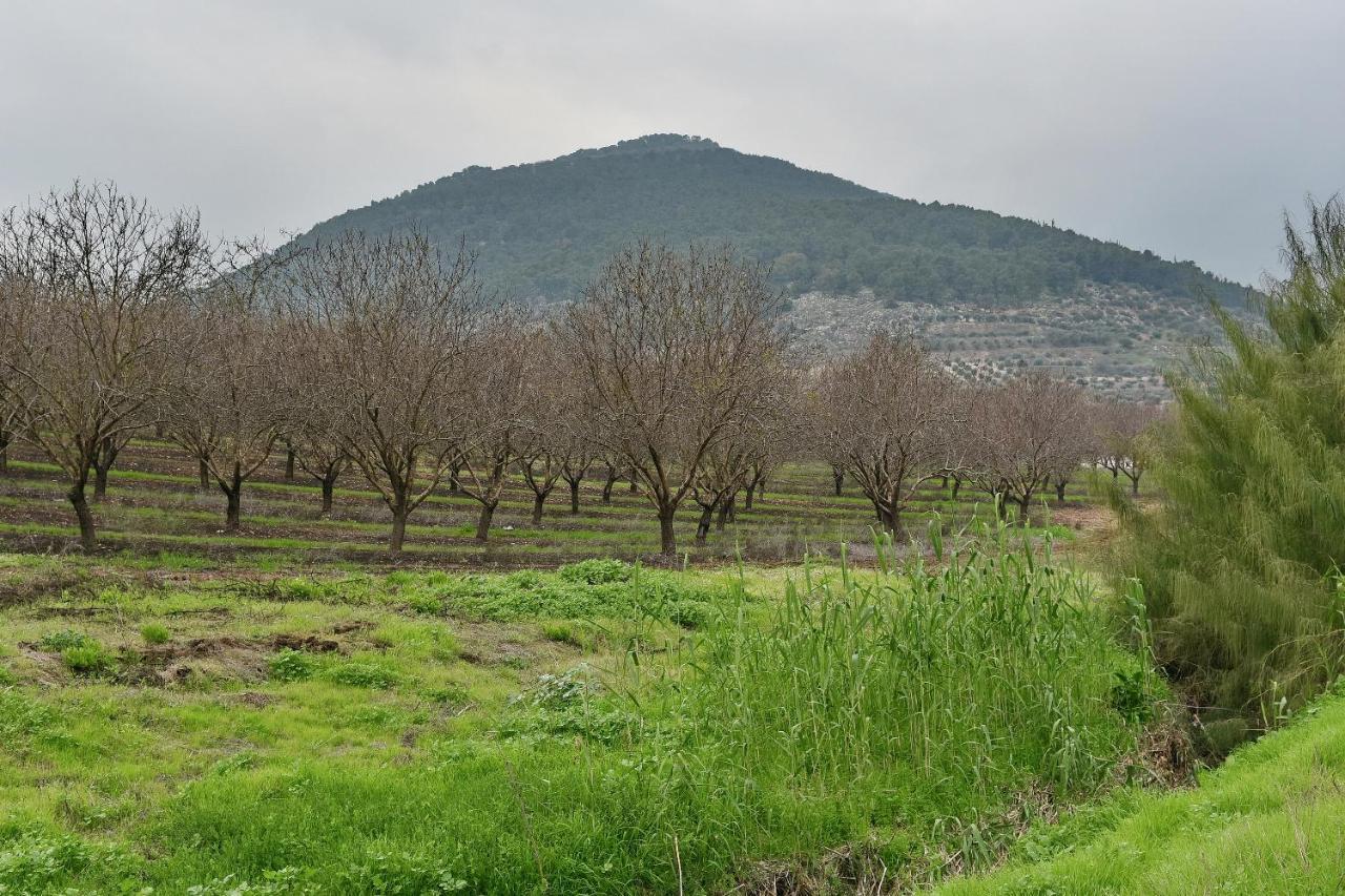 Pearl Of The Valley Hotel Kfar Tavor Екстериор снимка